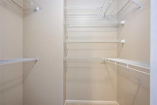169 Watson Rd, Penfield, NY 14450 - view of walk in closet