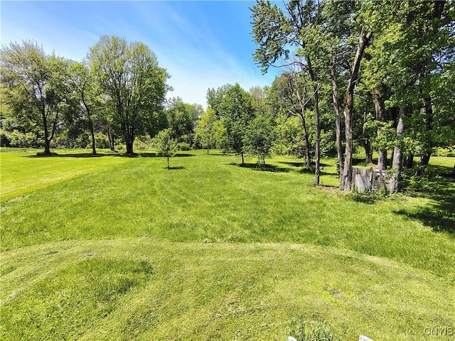 801 W Thomas St, Rome-Inside, NY 13440 - view of grassy yard