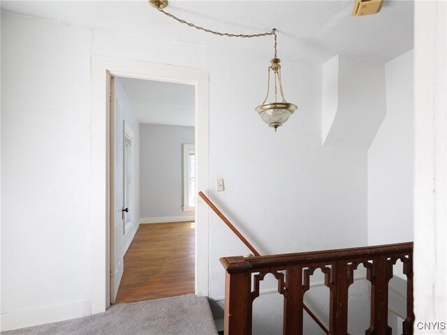 427 Flower Ave E, Watertown City, NY 13601 - photo 29