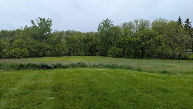 12 Probst Rd, Mendon, NY 14534 - view of yard featuring a wooded view