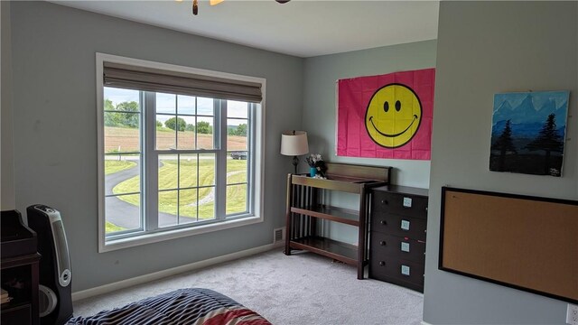 12 Probst Rd, Mendon, NY 14534 - bedroom with carpet and baseboards