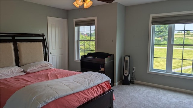 12 Probst Rd, Mendon, NY 14534 - bedroom featuring carpet and multiple windows