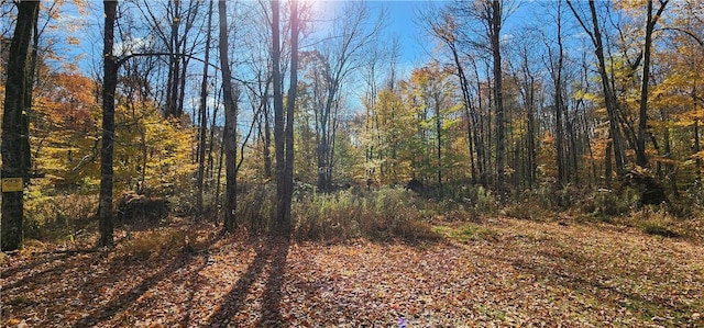 98 Wooliver Rd, Orwell, NY 13144 - photo 1