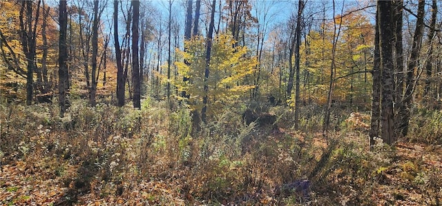 98 Wooliver Rd, Orwell, NY 13144 - photo 2
