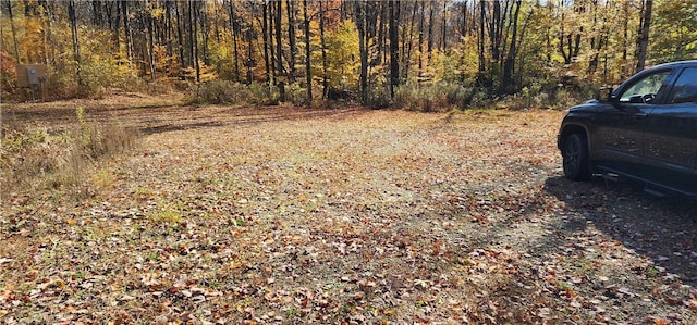 98 Wooliver Rd, Orwell, NY 13144 - photo 3