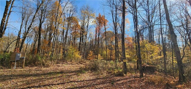 98 Wooliver Rd, Orwell, NY 13144 - photo 4