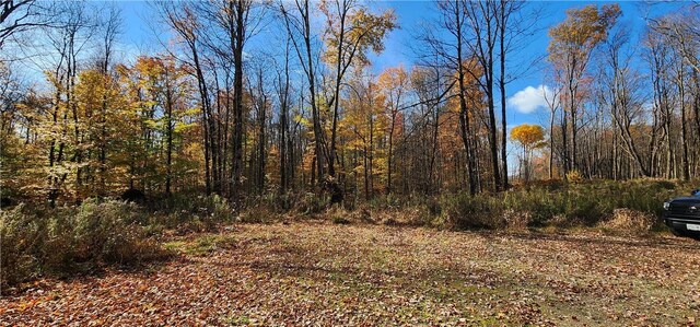 98 Wooliver Rd, Orwell, NY 13144 - photo 5