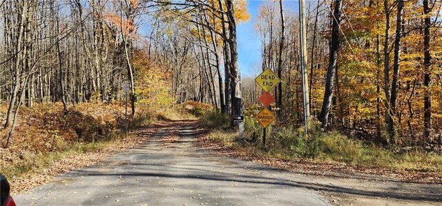 98 Wooliver Rd, Orwell, NY 13144 - photo 6