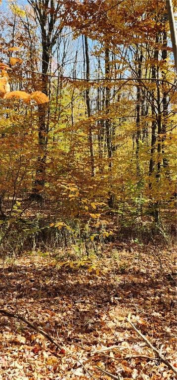 98 Wooliver Rd, Orwell, NY 13144 - photo 7