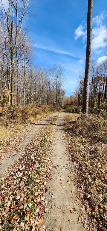 98 Wooliver Rd, Orwell, NY 13144 - photo 9