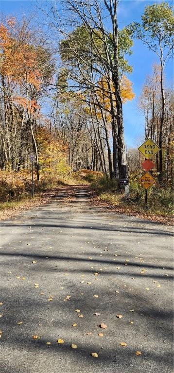98 Wooliver Rd, Orwell, NY 13144 - photo 12