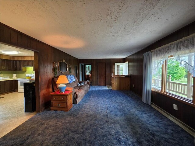 87 Sutton Rd, Veteran, NY 14845 - photo 5