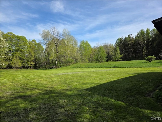 4300 Mutton Hill Rd, Fenner, NY 13035 - view of grassy yard