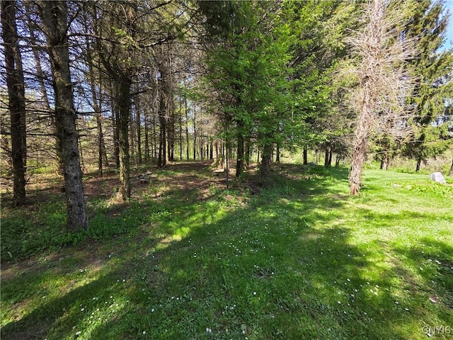 4300 Mutton Hill Rd, Fenner, NY 13035 - view of green lawn