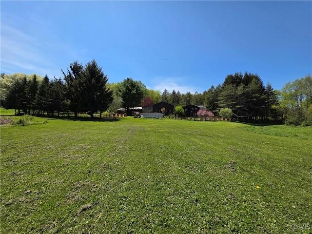 4300 Mutton Hill Rd, Fenner, NY 13035 - view of grassy yard featuring a rural view