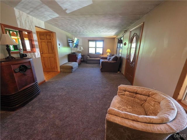 4300 Mutton Hill Rd, Fenner, NY 13035 - living area featuring carpet and a textured ceiling