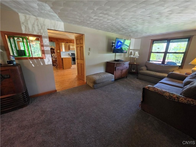 4300 Mutton Hill Rd, Fenner, NY 13035 - living room featuring light carpet and a textured ceiling