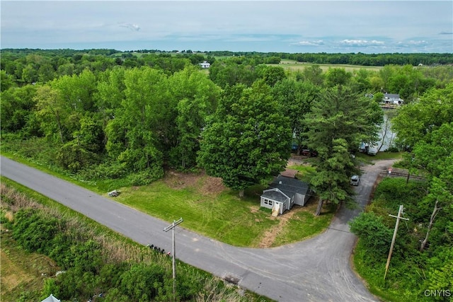 58 Van Ness Rd S, Van Buren, NY 13027 - bird's eye view