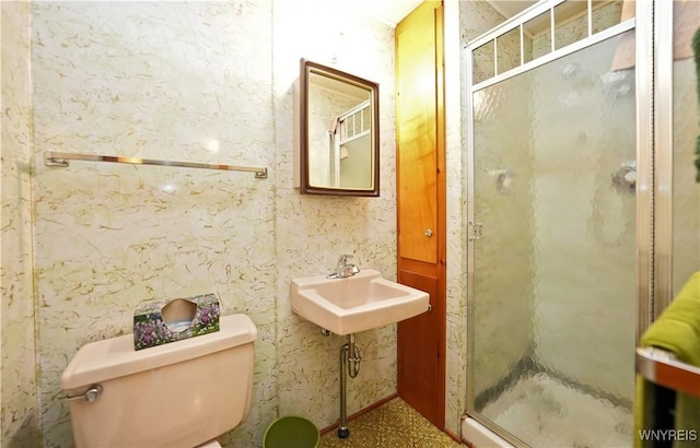 12620 Rte 39, Sardinia, NY 14134 - full bath with toilet, a stall shower, and a sink