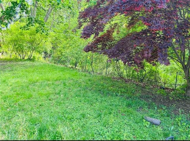 61 Tamarack, Irondequoit, NY 14622 - view of grassy yard
