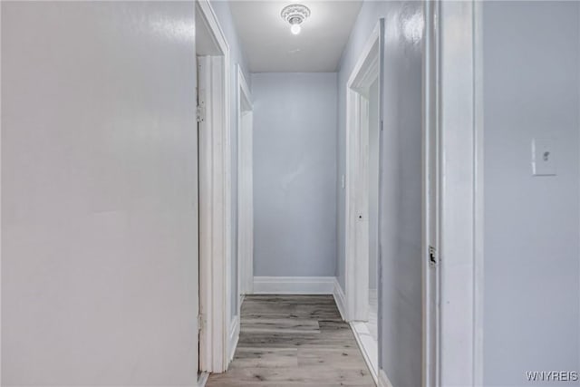 46 Wilkes Ave, Buffalo, NY 14215 - hall with light wood-style floors and baseboards