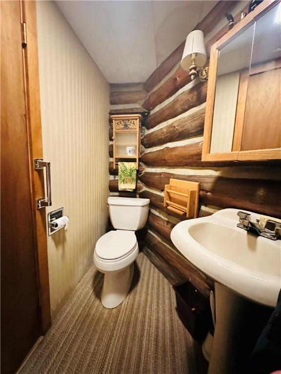 1170 Hornby Rd, Orange, NY 14812 - bathroom featuring rustic walls and toilet