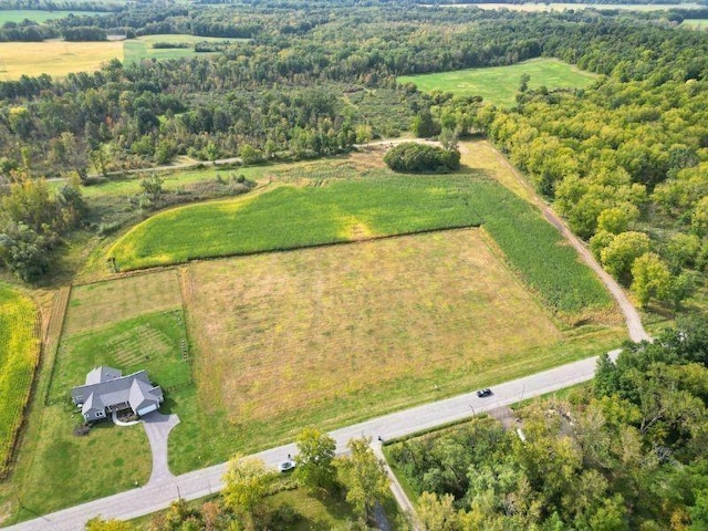 85 Perry Hill Rd, Rush, NY 14543 - photo 7