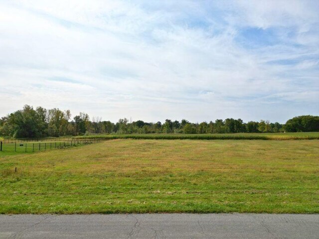 85 Perry Hill Rd, Rush, NY 14543 - photo 8