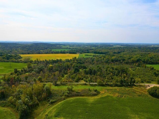 85 Perry Hill Rd, Rush, NY 14543 - photo 10