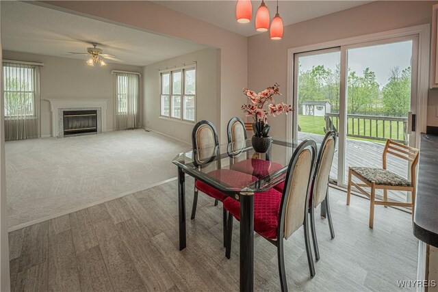 7095 Lincoln Avenue Extension, Lockport Town, NY 14094 - photo 17