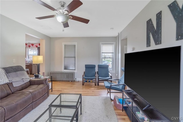 184 Liberty St, Oswego-City, NY 13126 - living room featuring radiator, plenty of natural light, light wood-type flooring, and ceiling fan