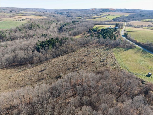 10339 Baker Rd, Portage, NY 14846 - aerial view of property and surrounding area featuring rural landscape