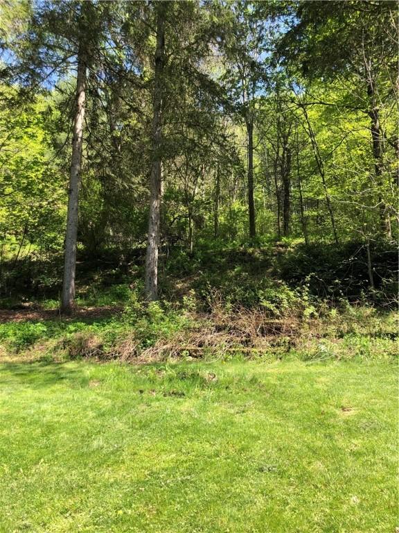 816 Main St, Franklin, NY 13775 - photo 42