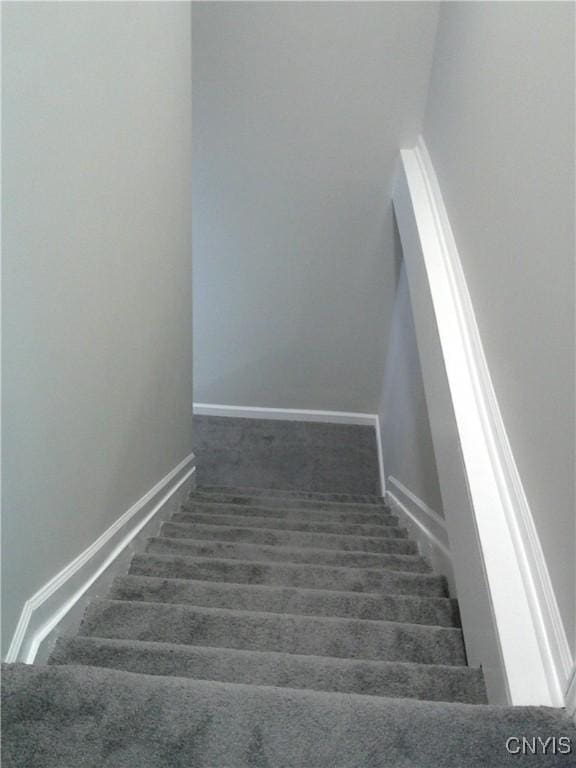 8457 S Main St, Le Ray, NY 13637 - staircase featuring carpet floors and baseboards