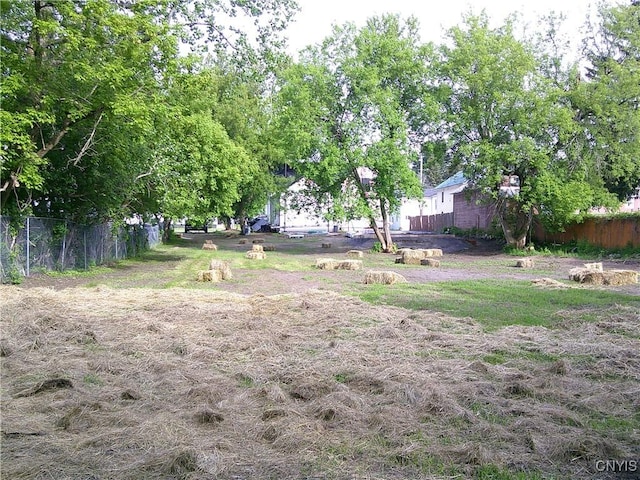 8457 S Main St, Le Ray, NY 13637 - view of yard