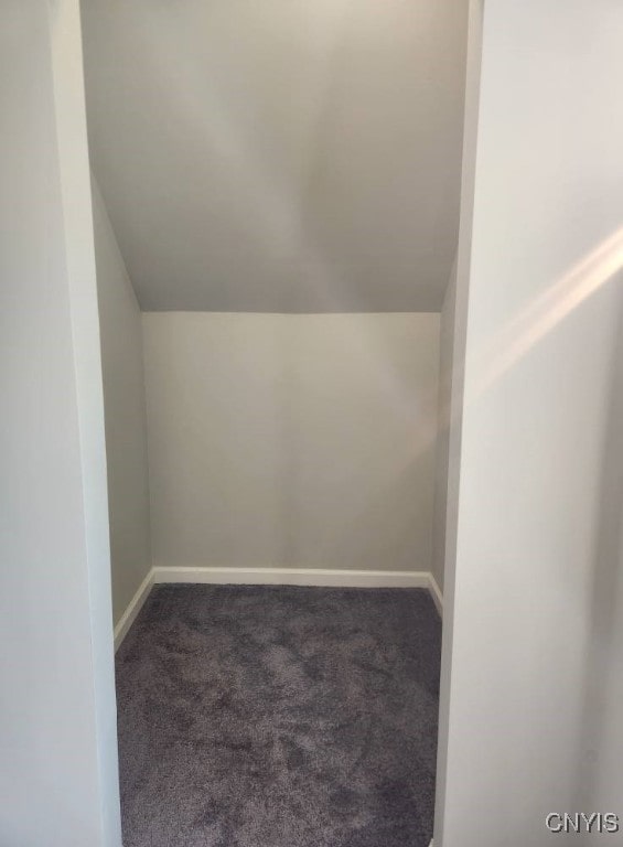 8457 S Main St, Le Ray, NY 13637 - bonus room with carpet floors and vaulted ceiling