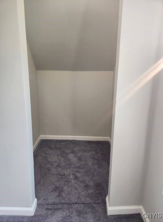 8457 S Main St, Le Ray, NY 13637 - additional living space featuring carpet floors and lofted ceiling