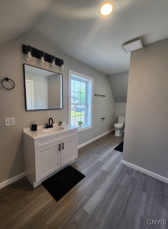 8457 S Main St, Le Ray, NY 13637 - bathroom with vaulted ceiling, wood finished floors, and vanity