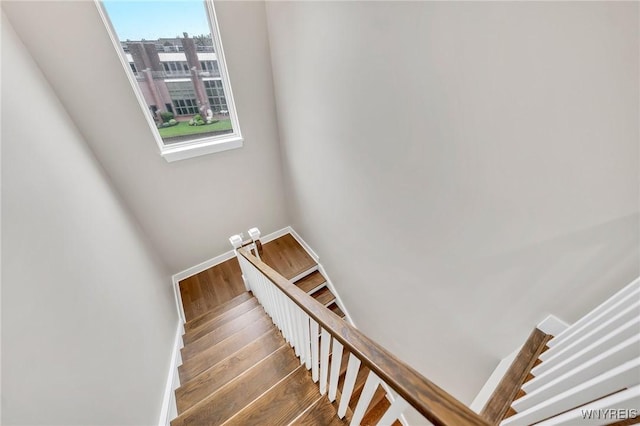 272 Lakefront Blvd, Buffalo, NY 14202 - photo 39