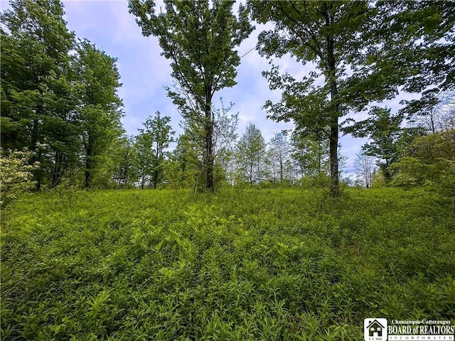Listing photo - caption unavailable
