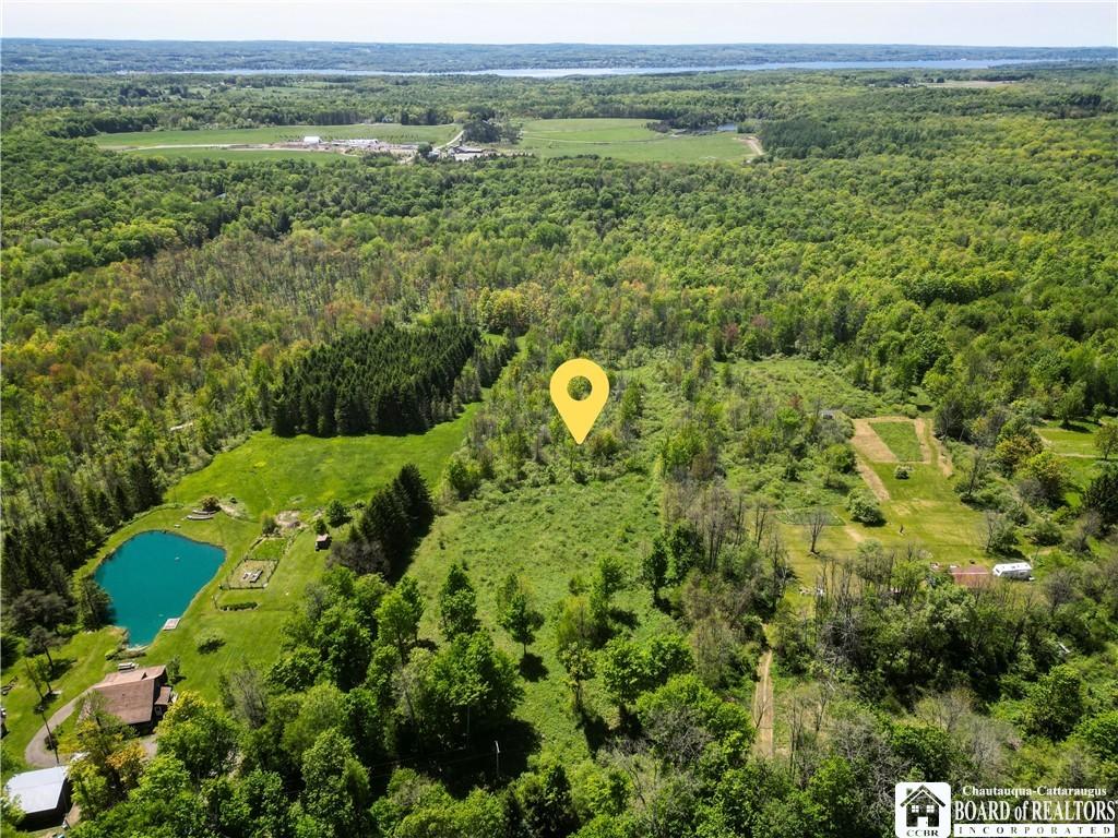 00 Ellery-Centralia Rd, Ellery, NY 14712 - photo 1