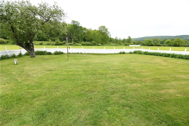 158 Dingman Hill Rd, Bainbridge, NY 13733 - view of yard