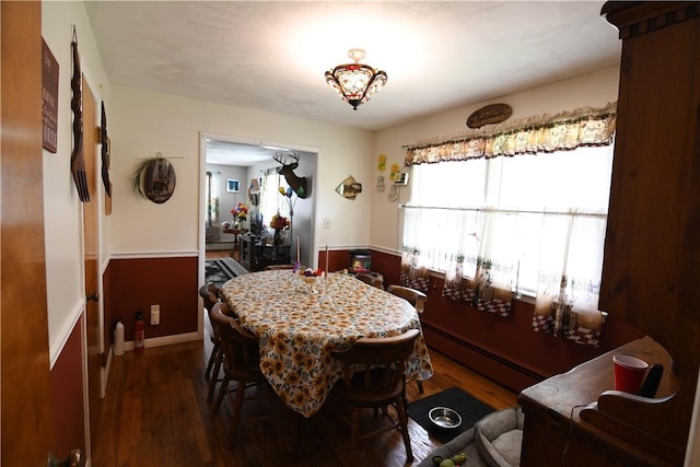 158 Dingman Hill Rd, Bainbridge, NY 13733 - dining space with baseboard heating, dark wood-style floors, and baseboards