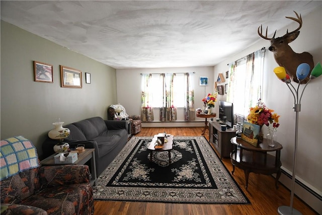 158 Dingman Hill Rd, Bainbridge, NY 13733 - living area with a baseboard radiator and wood finished floors