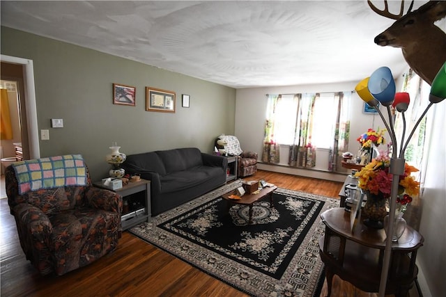 158 Dingman Hill Rd, Bainbridge, NY 13733 - living area with baseboard heating and wood finished floors