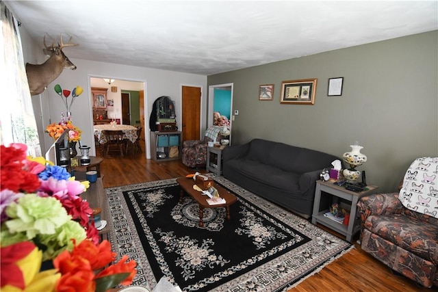 158 Dingman Hill Rd, Bainbridge, NY 13733 - living area with wood finished floors