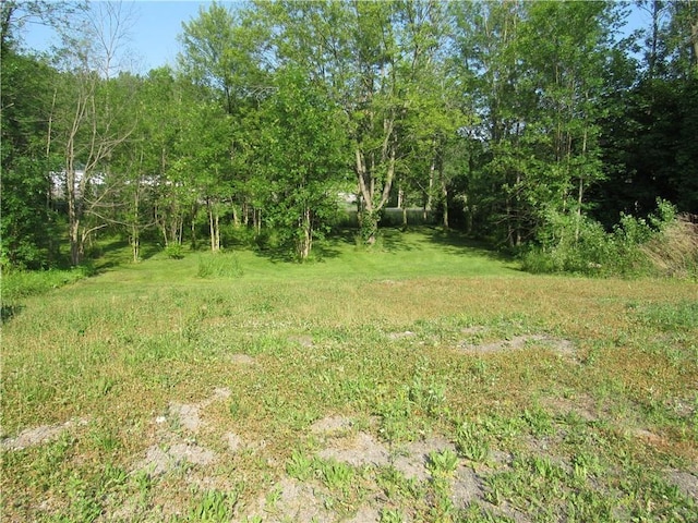 6386 Fairville Station Rd, Arcadia, NY 14513