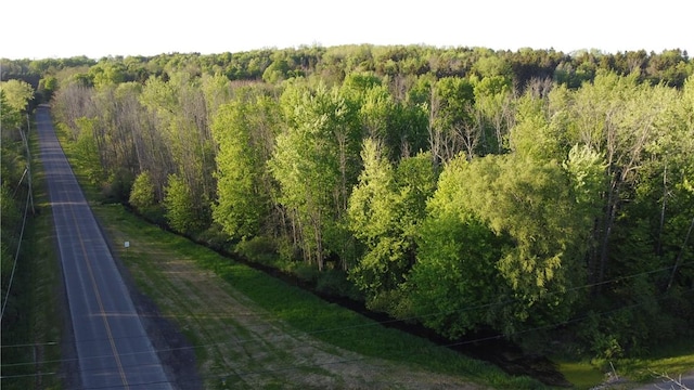 4482 Cory Corners Rd, Marion, NY 14505 - bird's eye view of a forest