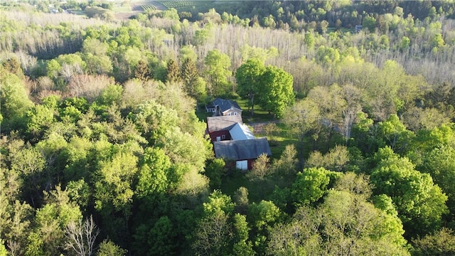 4482 Cory Corners Rd, Marion, NY 14505 - view of subject property featuring a forest