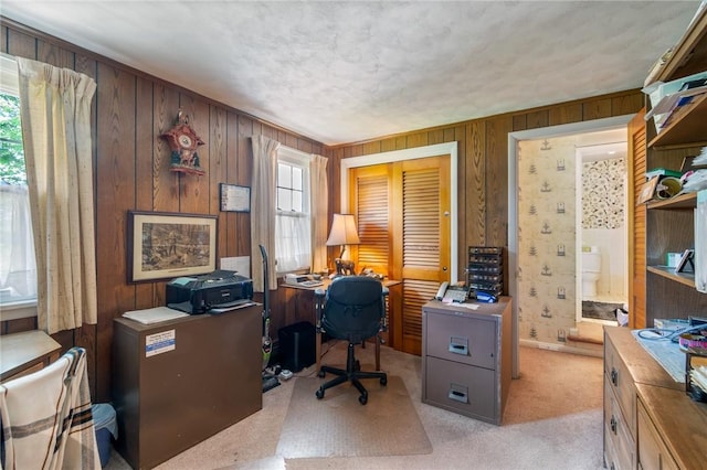 4482 Cory Corners Rd, Marion, NY 14505 - office space featuring plenty of natural light, wood walls, and light carpet